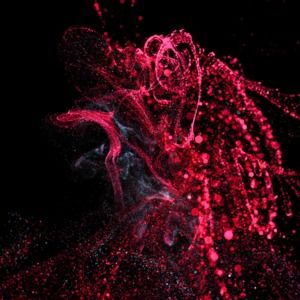 Meet your Posher, Douglas